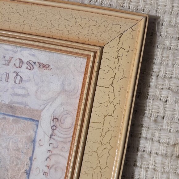 ð
ºPIER 1 Shelley Hely Framed Seashell Lithograph Print - Picture 5 of 7